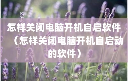 怎样关闭电脑开机自启软件（怎样关闭电脑开机自启动的软件）