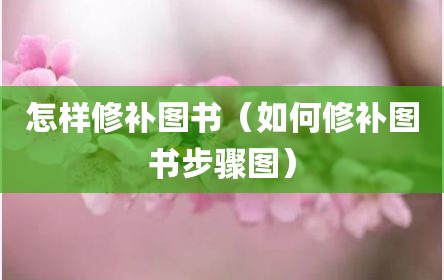 怎样修补图书（如何修补图书步骤图）