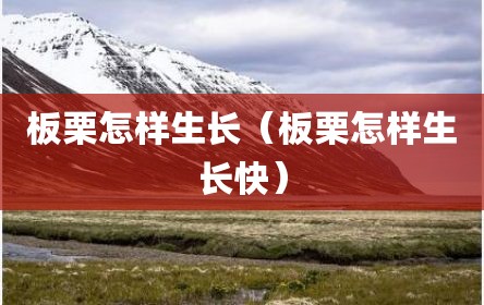 板栗怎样生长（板栗怎样生长快）
