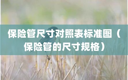 保险管尺寸对照表标准图（保险管的尺寸规格）