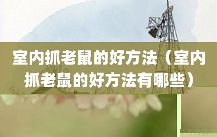 室内抓老鼠的好方法（室内抓老鼠的好方法有哪些）