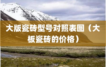 大版瓷砖型号对照表图（大板瓷砖的价格）