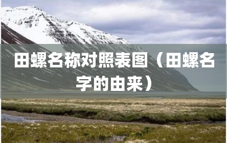 田螺名称对照表图（田螺名字的由来）