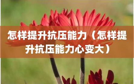 怎样提升抗压能力（怎样提升抗压能力心变大）