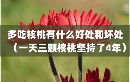 多吃核桃有什么好处和坏处（一天三颗核桃坚持了4年）