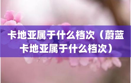 卡地亚属于什么档次（蔚蓝卡地亚属于什么档次）