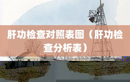 肝功检查对照表图（肝功检查分析表）