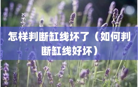 怎样判断缸线坏了（如何判断缸线好坏）
