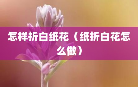 怎样折白纸花（纸折白花怎么做）