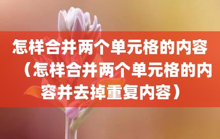 怎样合并两个单元格的内容（怎样合并两个单元格的内容并去掉重复内容）