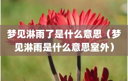 梦见淋雨了是什么意思（梦见淋雨是什么意思室外）