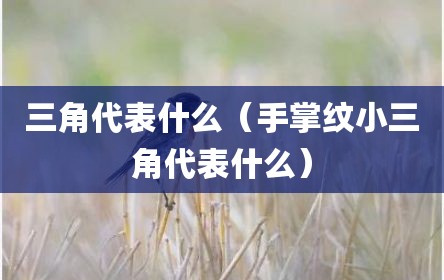 三角代表什么（手掌纹小三角代表什么）