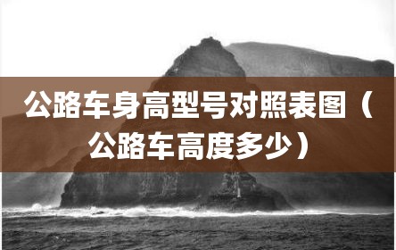 公路车身高型号对照表图（公路车高度多少）
