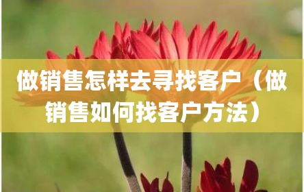 做销售怎样去寻找客户（做销售如何找客户方法）