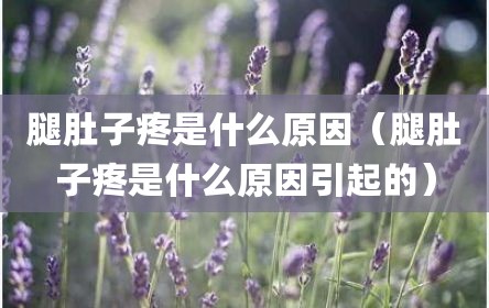 腿肚子疼是什么原因（腿肚子疼是什么原因引起的）