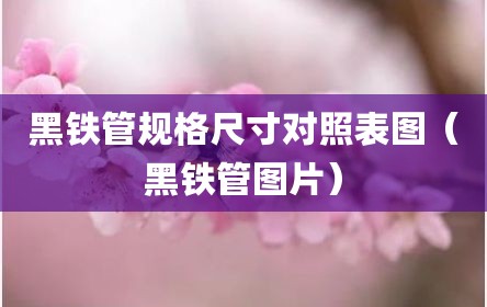 黑铁管规格尺寸对照表图（黑铁管图片）