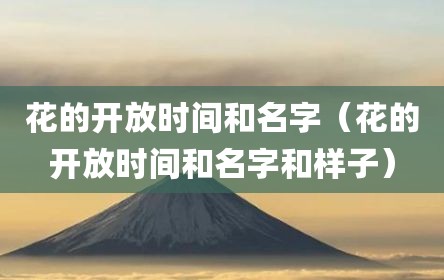 花的开放时间和名字（花的开放时间和名字和样子）