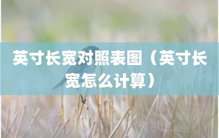 英寸长宽对照表图（英寸长宽怎么计算）