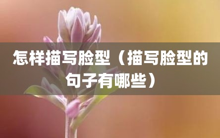 怎样描写脸型（描写脸型的句子有哪些）