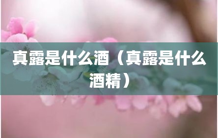 真露是什么酒（真露是什么酒精）