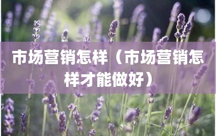 市场营销怎样（市场营销怎样才能做好）