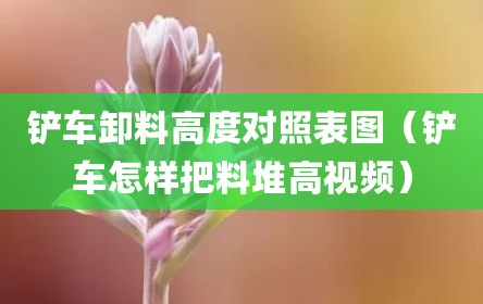 铲车卸料高度对照表图（铲车怎样把料堆高视频）