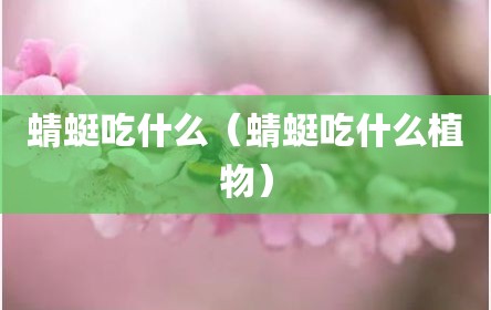 蜻蜓吃什么（蜻蜓吃什么植物）