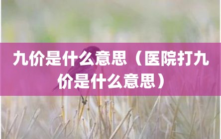 九价是什么意思（医院打九价是什么意思）