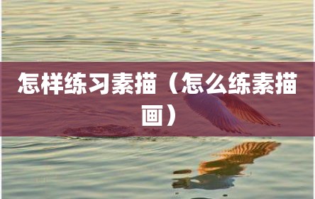 怎样练习素描（怎么练素描画）