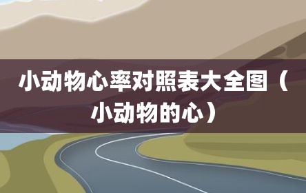 小动物心率对照表大全图（小动物的心）