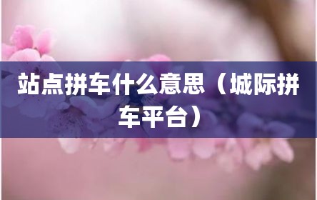 站点拼车什么意思（城际拼车平台）