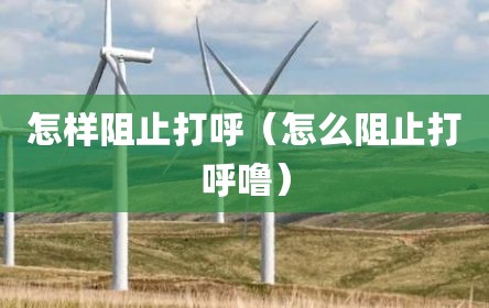 怎样阻止打呼（怎么阻止打呼噜）