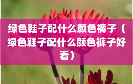 绿色鞋子配什么颜色裤子（绿色鞋子配什么颜色裤子好看）