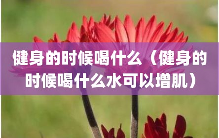 健身的时候喝什么（健身的时候喝什么水可以增肌）