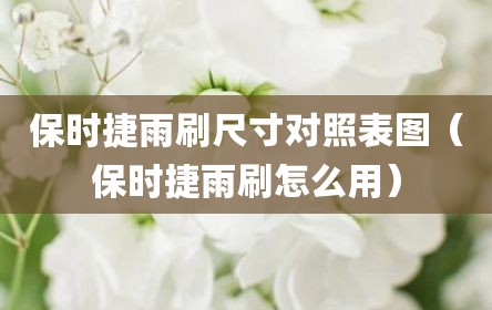 保时捷雨刷尺寸对照表图（保时捷雨刷怎么用）