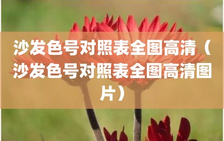 沙发色号对照表全图高清（沙发色号对照表全图高清图片）