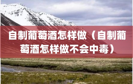 自制葡萄酒怎样做（自制葡萄酒怎样做不会中毒）