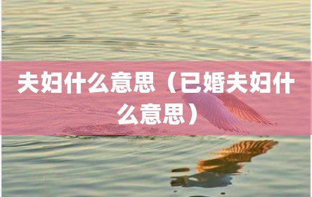 夫妇什么意思（已婚夫妇什么意思）