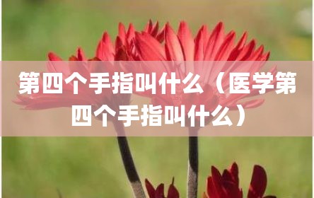 第四个手指叫什么（医学第四个手指叫什么）