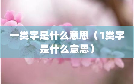 一类字是什么意思（1类字是什么意思）