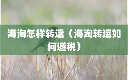 海淘怎样转运（海淘转运如何避税）