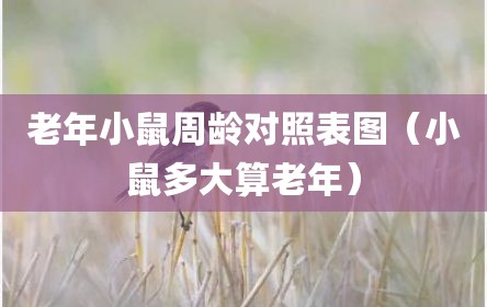 老年小鼠周龄对照表图（小鼠多大算老年）
