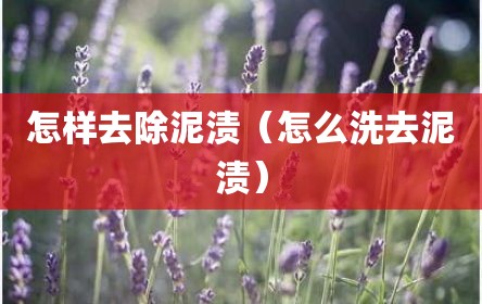 怎样去除泥渍（怎么洗去泥渍）