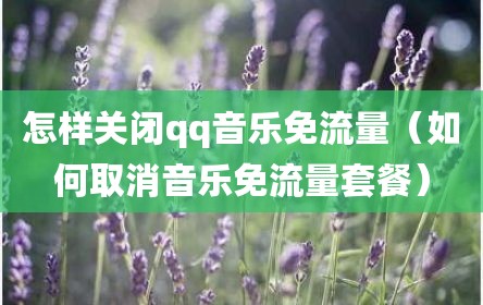 怎样关闭qq音乐免流量（如何取消音乐免流量套餐）