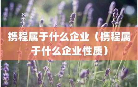 携程属于什么企业（携程属于什么企业性质）