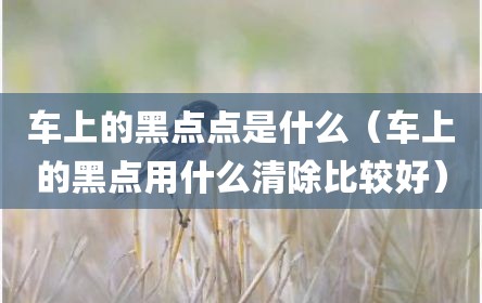 车上的黑点点是什么（车上的黑点用什么清除比较好）