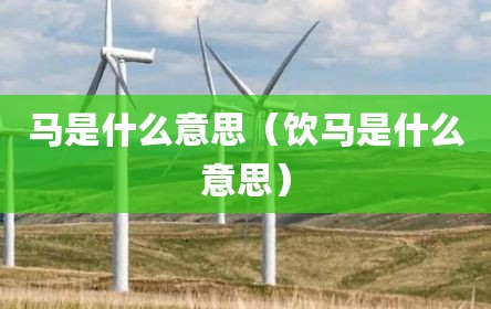 马是什么意思（饮马是什么意思）