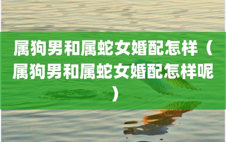属狗男和属蛇女婚配怎样（属狗男和属蛇女婚配怎样呢）