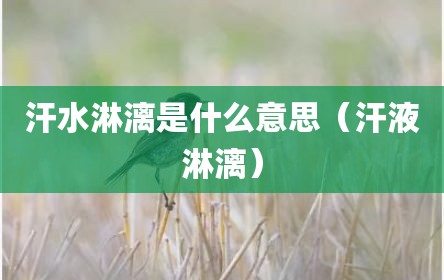 汗水淋漓是什么意思（汗液淋漓）