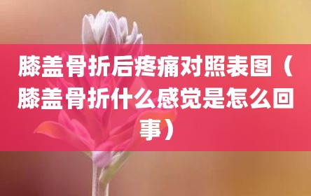膝盖骨折后疼痛对照表图（膝盖骨折什么感觉是怎么回事）